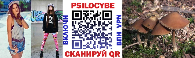 Галлюциногенные грибы Psilocybine cubensis Энгельс
